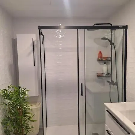 Roger 29 بلاتجا ذارو