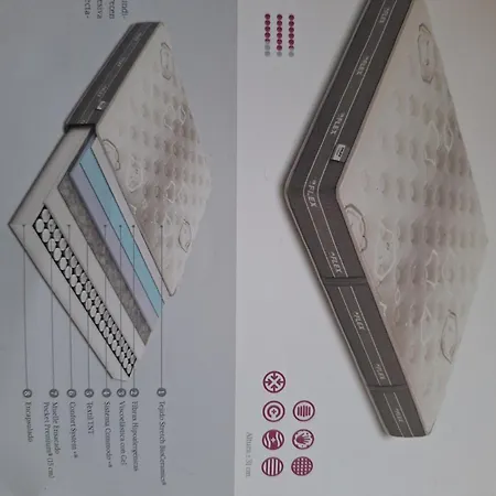 Roger 29 * بلاتجا ذارو